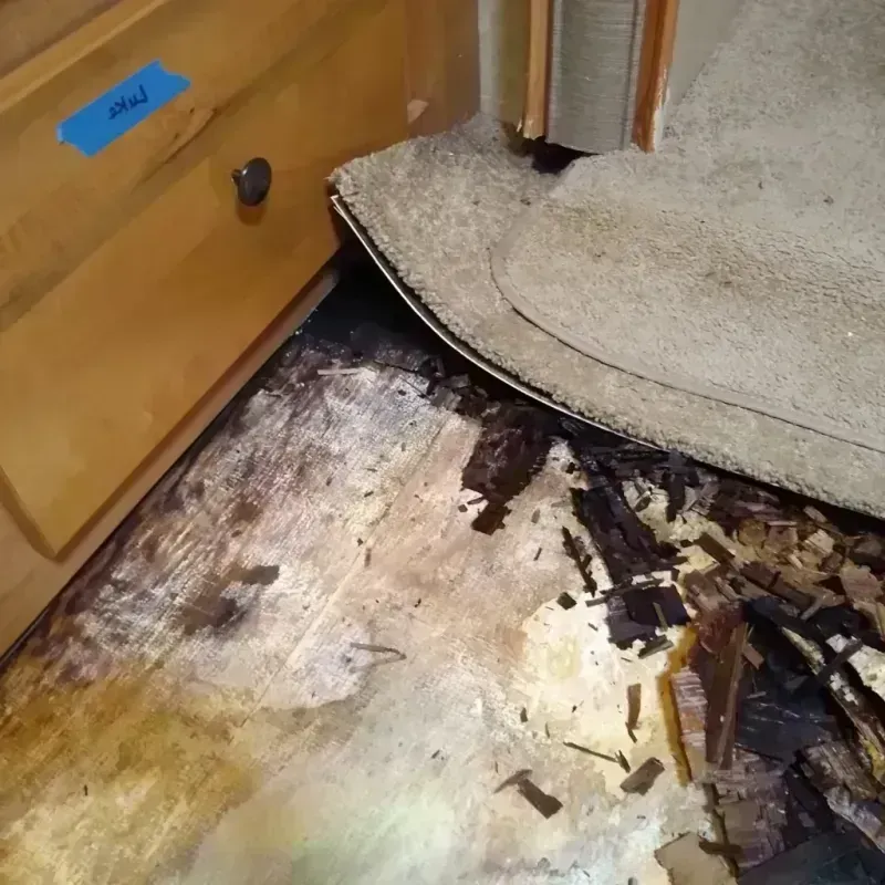 Best Wood Floor Water Damage Service in Ashland County, WI